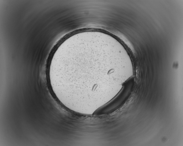 X0000102340972200808291133