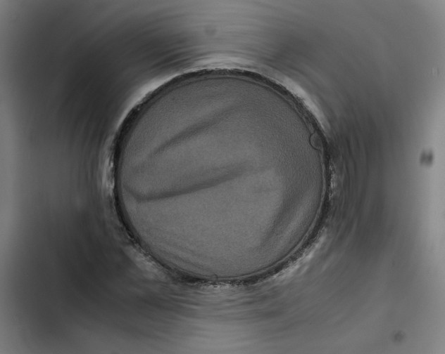 X0000102340973200808291133
