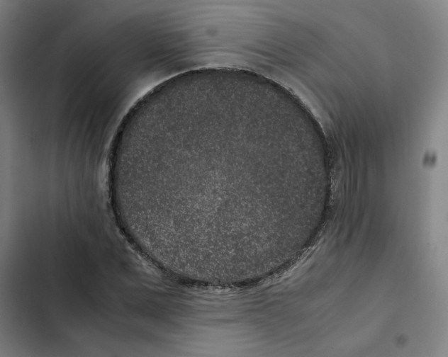 X0000102340975200808291133