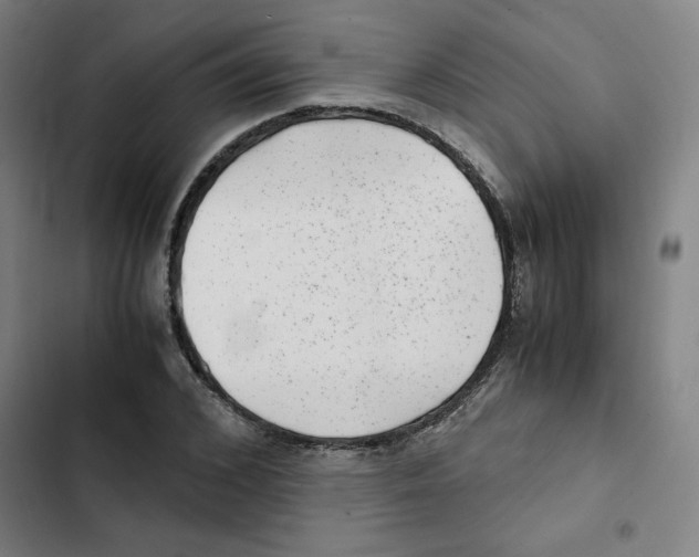 X0000102340976200808291133