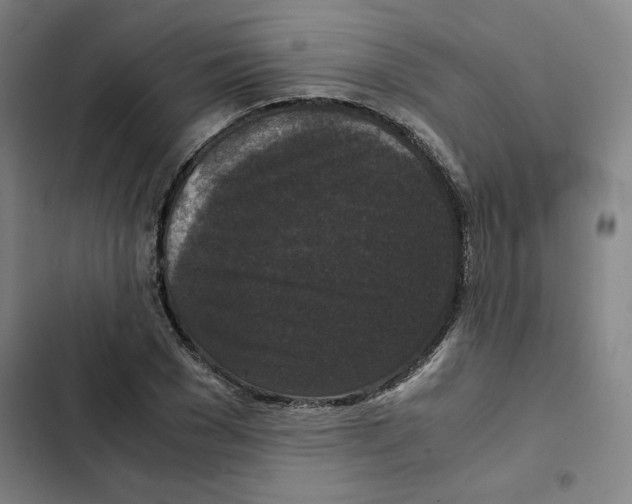 X0000102340977200808291133
