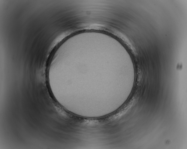 X0000102340978200808291133