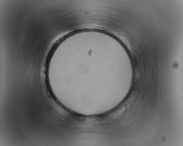 X0000102340979200808291133
