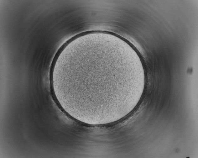X0000102340980200808291133