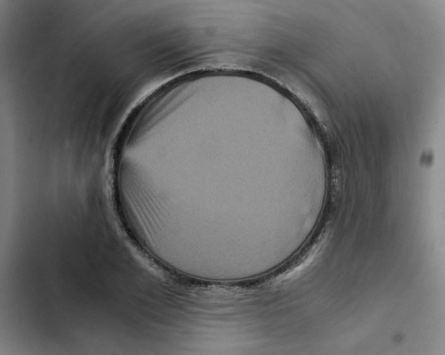 X0000102340981200808291133