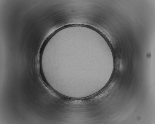 X0000102340982200808291133