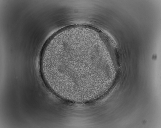 X0000102340983200808291133