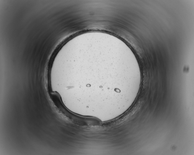 X0000102340984200808291133