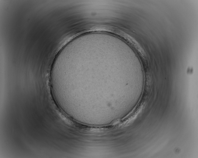 X0000102340985200808291133
