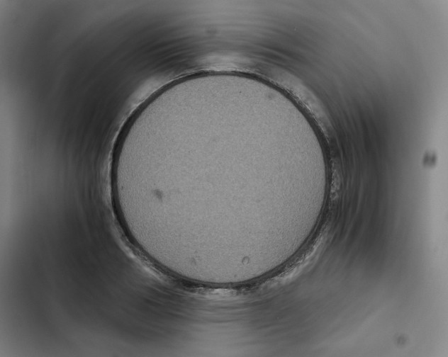 X0000102340986200808291133