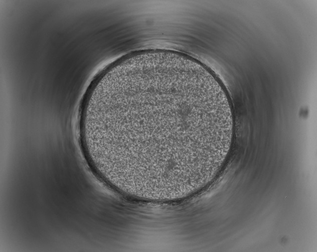 X0000102340987200808291133