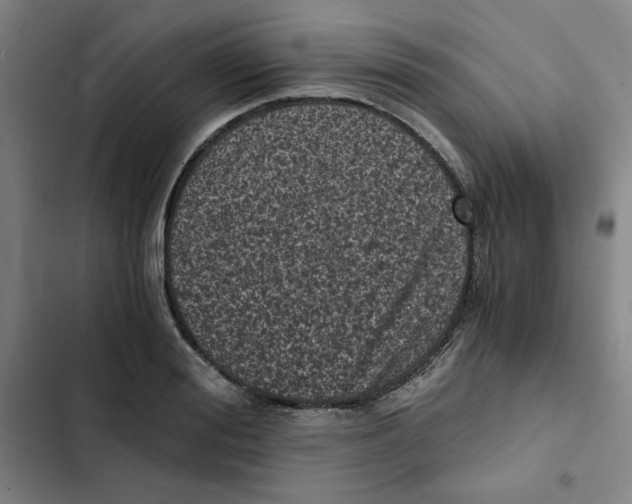 X0000102340988200808291133