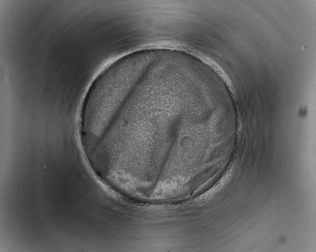 X0000102340989200808291133