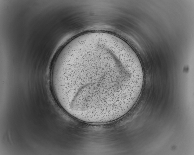 X0000102340990200808291133