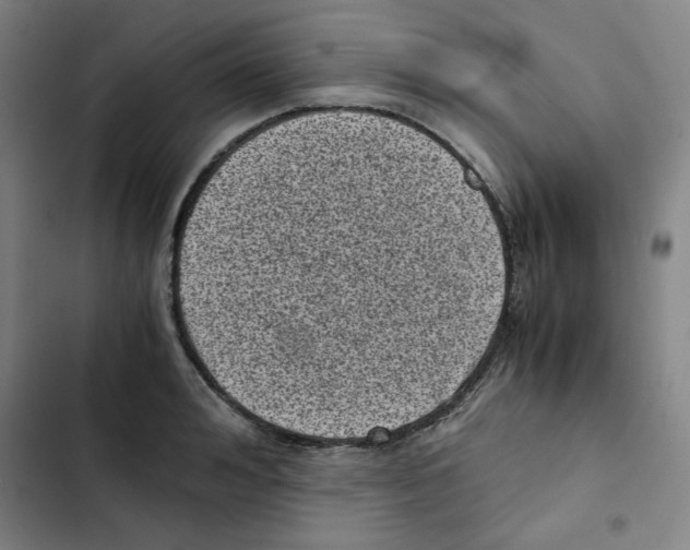 X0000102340992200808291133