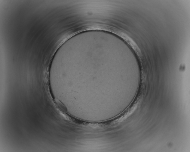 X0000102340993200808291133