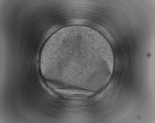 X0000102340994200808291133