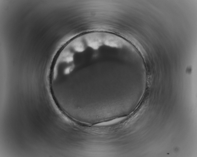 X0000102340995200808291133