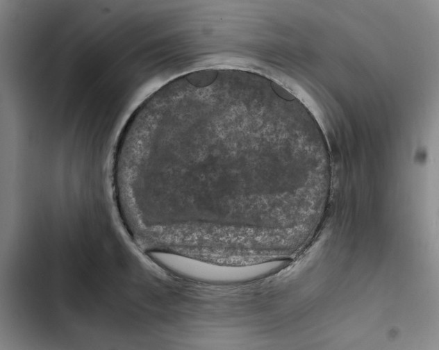 X0000102340997200808291133