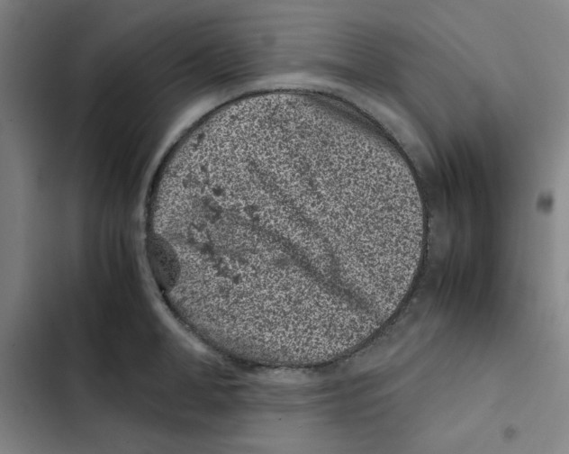 X0000102340998200808291133