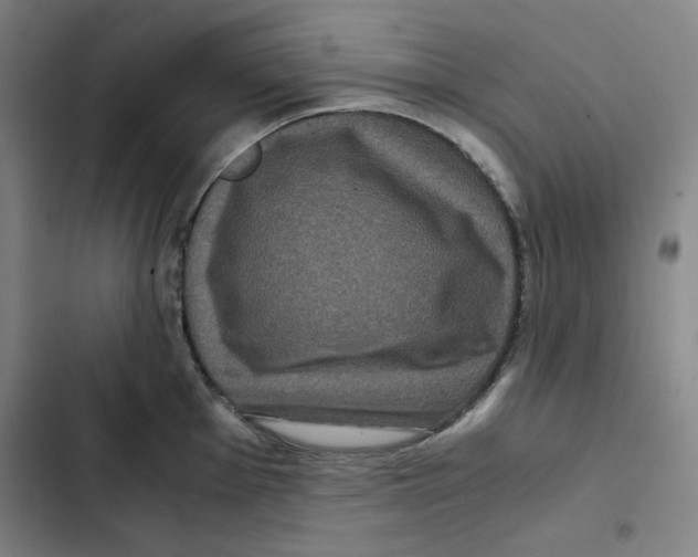 X0000102341001200808291133