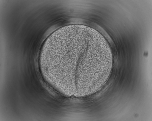X0000102341002200808291133