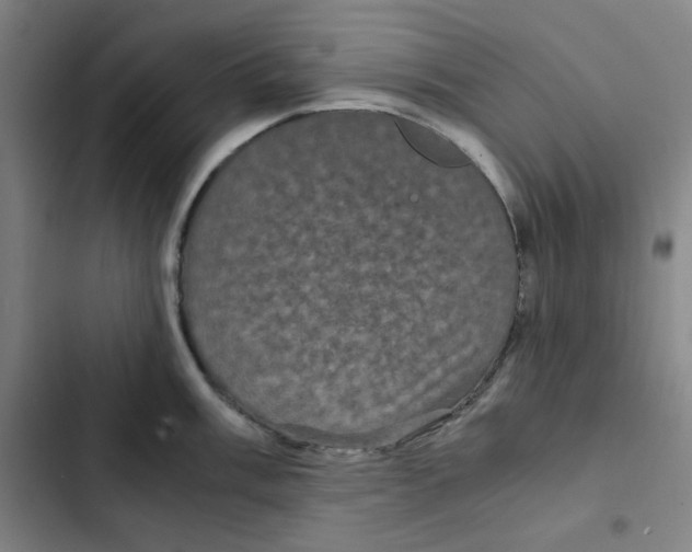 X0000102341003200808291133