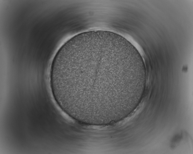 X0000102341005200808291133