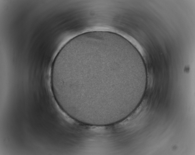 X0000102341006200808291133