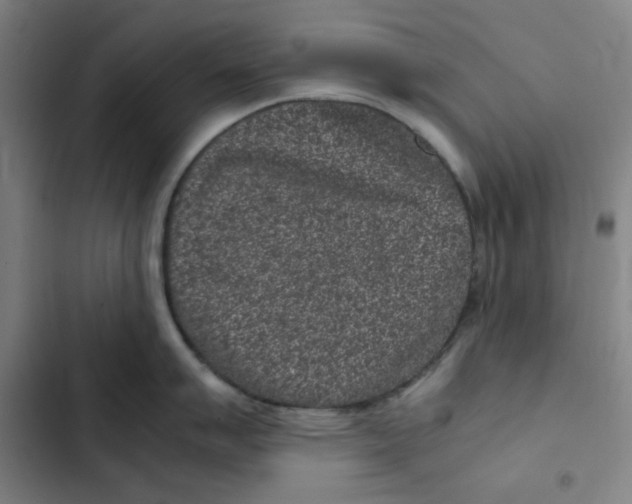 X0000102341007200808291133