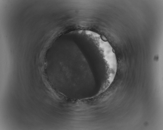 X0000102341009200808291132
