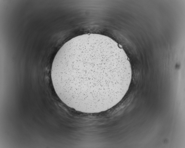 X0000102341010200808291132