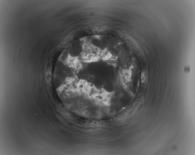 X0000102341011200808291132