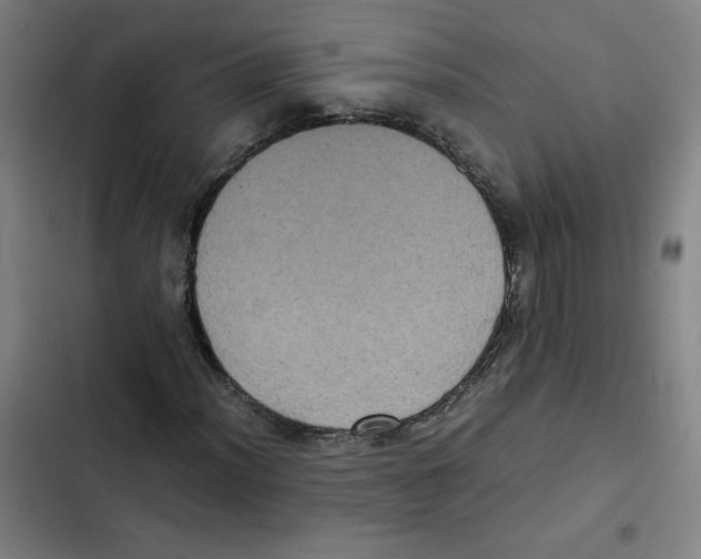 X0000102341012200808291132