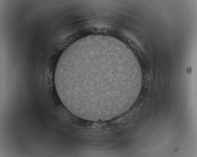 X0000102341013200808291132