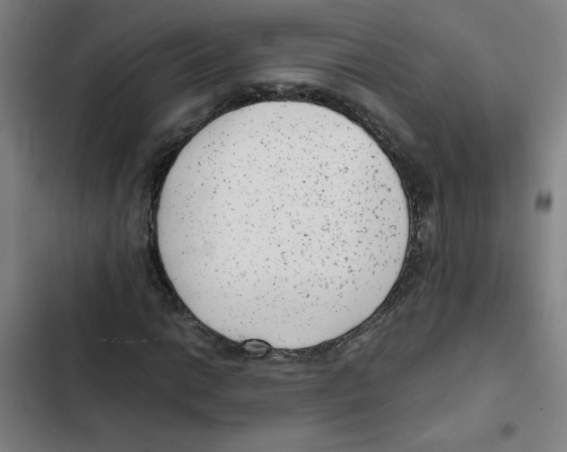 X0000102341014200808291132