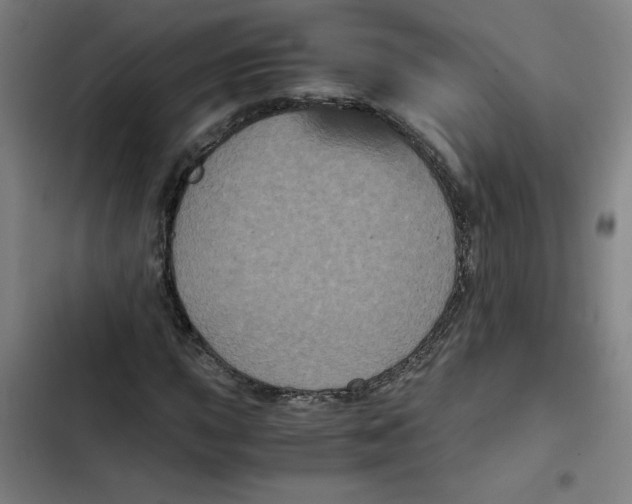 X0000102341015200808291132