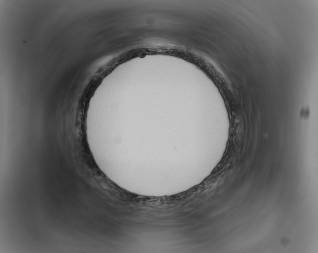 X0000102341016200808291132