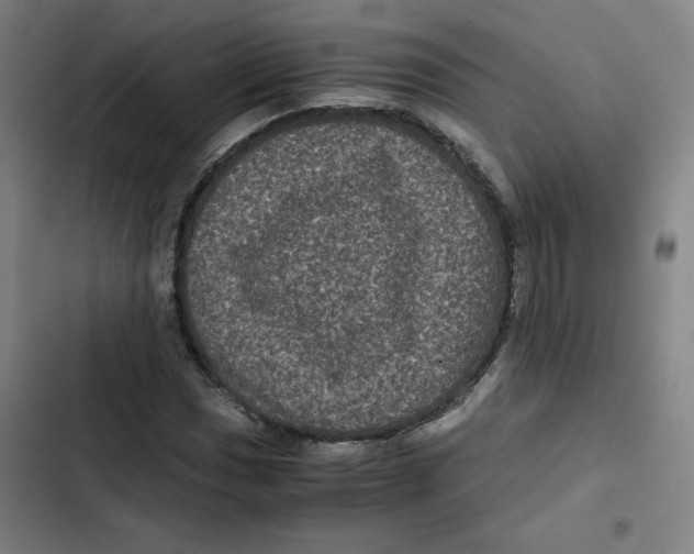 X0000102341017200808291132