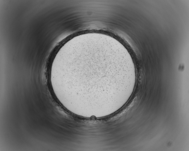 X0000102341018200808291132