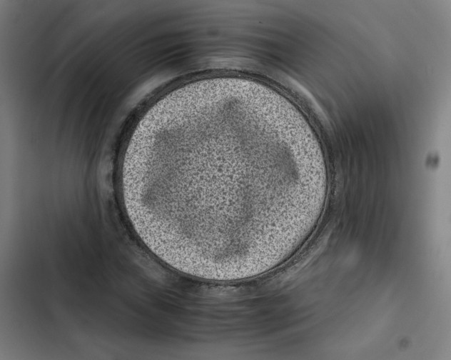 X0000102341019200808291132
