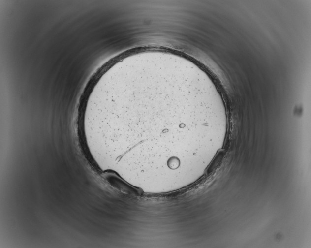 X0000102341020200808291132