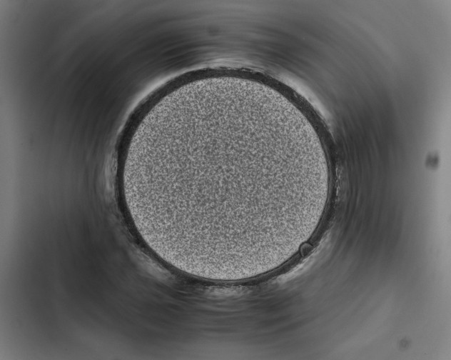 X0000102341021200808291132