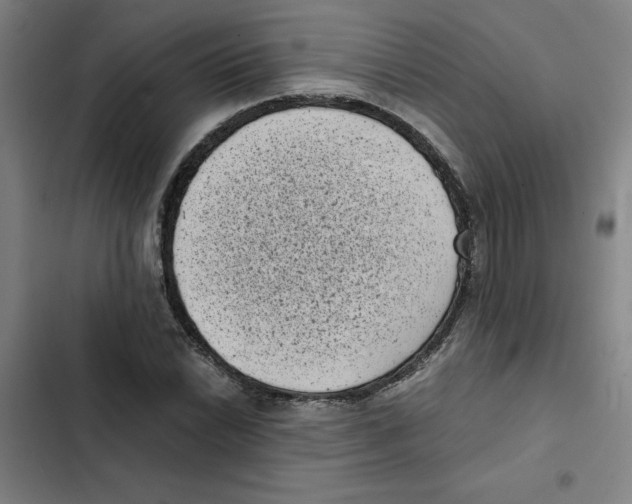 X0000102341022200808291132