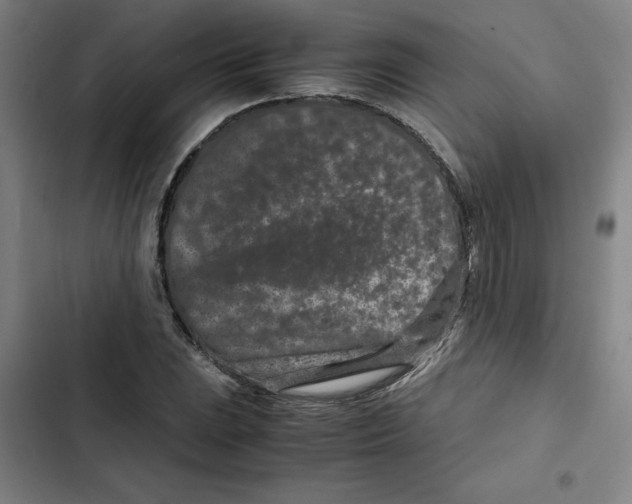 X0000102341023200808291132