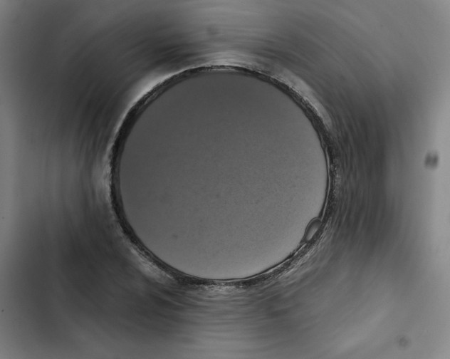 X0000102341024200808291132