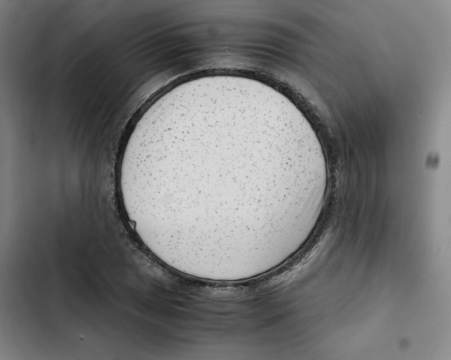 X0000102341025200808291132