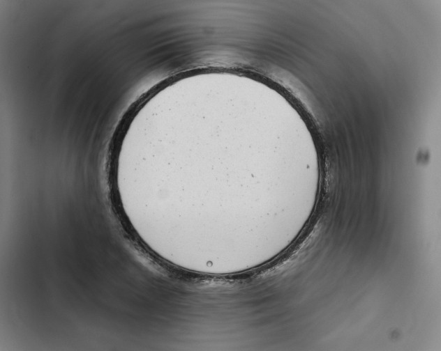 X0000102341026200808291132