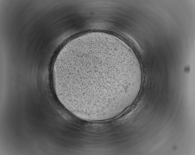 X0000102341027200808291133