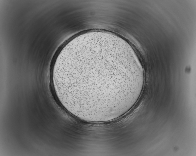 X0000102341028200808291133